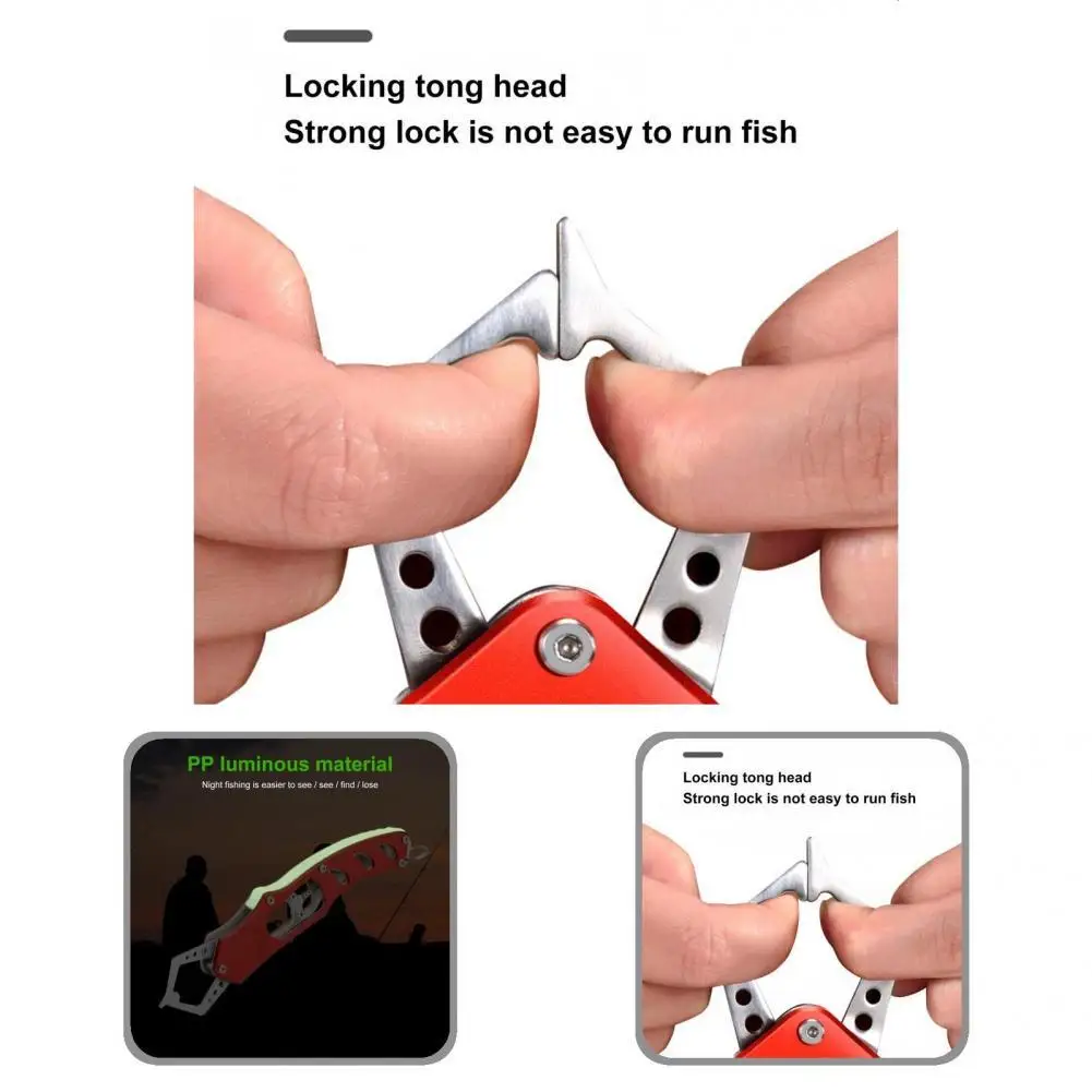 

Wear-Resistant Fishing Tool Solid Lightweight Fishing Grabber Angling Supplies