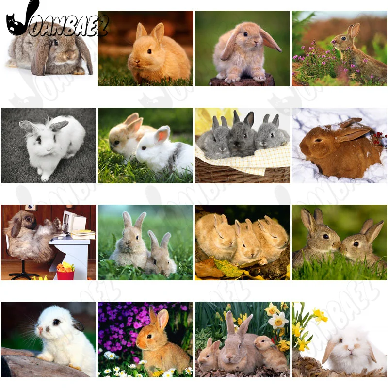

Modern Rabbit In The Grass Diamond Painting 5D Diy Wall Art Cute White Rabbit Flower Diamond Inlaid Poster Room Home Decoration