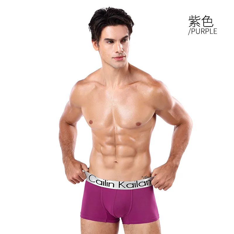 10Pcs/lot Boxershorts Mens Underwear Boxers Hombre Bokserki Modal Soft Men's Boxer Breathable Ropa Underwear Free Shipping
