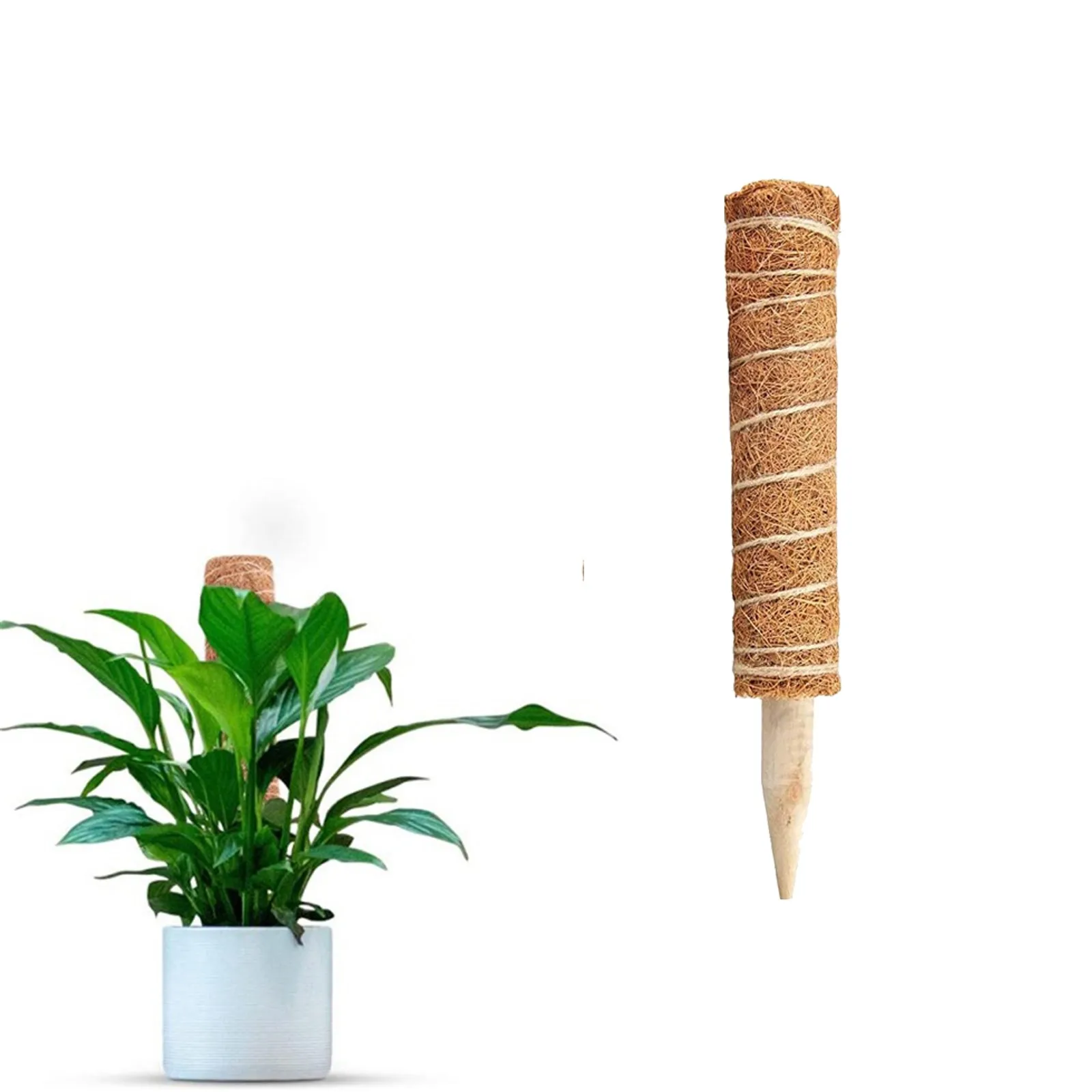 2021Coir Moss Pole Stick Scindapsus стержни для подъема растений стойки выдвижные растений|Опоры