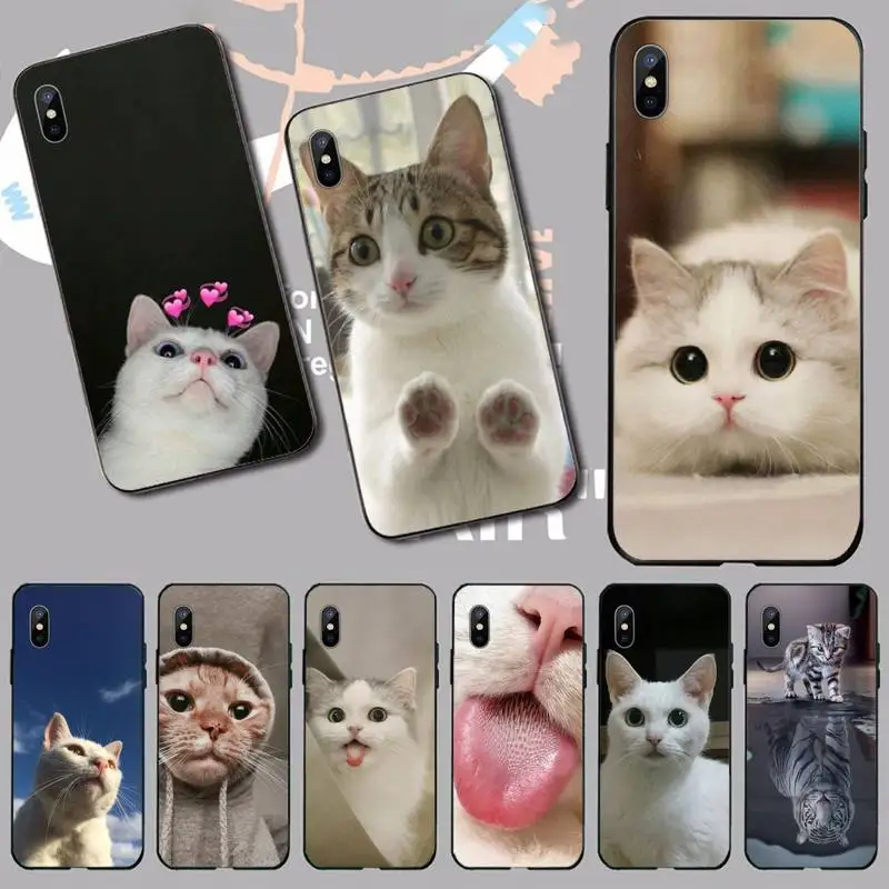

squishy lovely cat Phone Case for iPhone 11 12 13 pro XS MAX 8 7 6 6S Plus X 5S SE 2020 XR mini