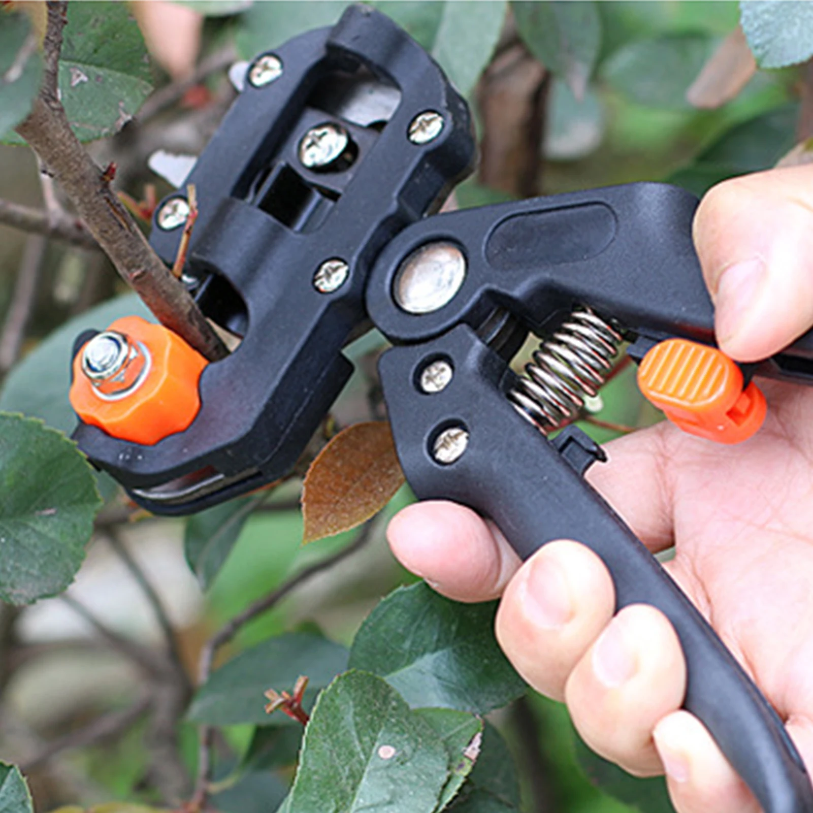 

Набор для обрезки фруктовых деревьев, 2 в 1