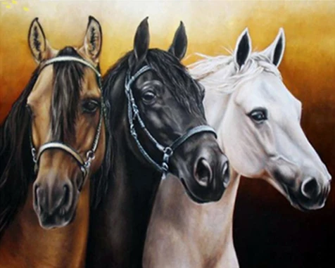 

Horse style Embroidery Counted Cross Stitch Kits Needlework - Crafts 14 ct DMC Color DIY Arts Handmade Decor three horses