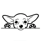 Виниловые наклейки PLAY COOL Cute Chihuahua стикер на машину с собакой T-00093