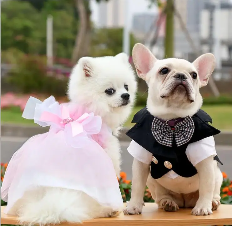 

Dog Suit Groom Dress Clothes Pet Teddy Bichon Pugs Small Medium-sized Dog Cat Wedding Wedding Dress