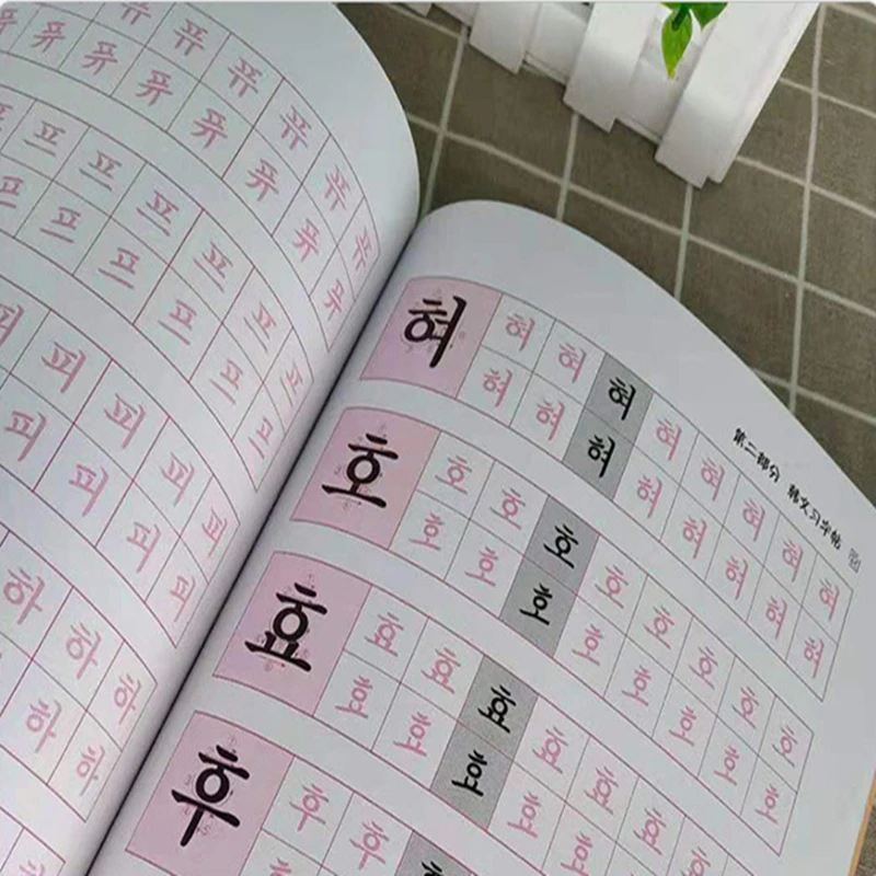Бесплатный подарок вогнутые корейские книги для изучения языка волшебное письмо