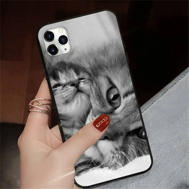 

Cute Animal Cat high quality shell Phone Case for iPhone 11 12 pro XS MAX 8 7 6 6S Plus X 5S SE 2020 XR
