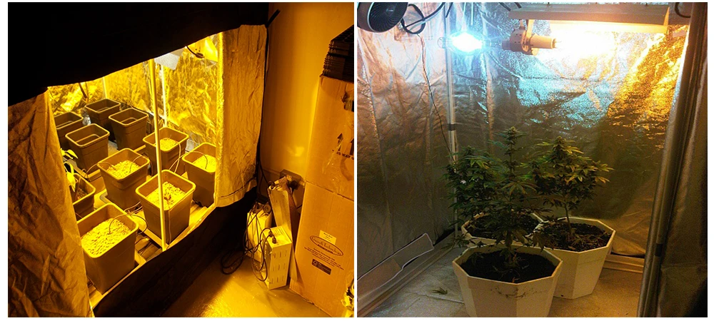Led Grow Lighting Крытая гидропоника, шатер для выращивания, Гроу-рум для коробка для выращивания растений, светоотражающий майлар нетоксичный садовый Теплицы 60/80/100