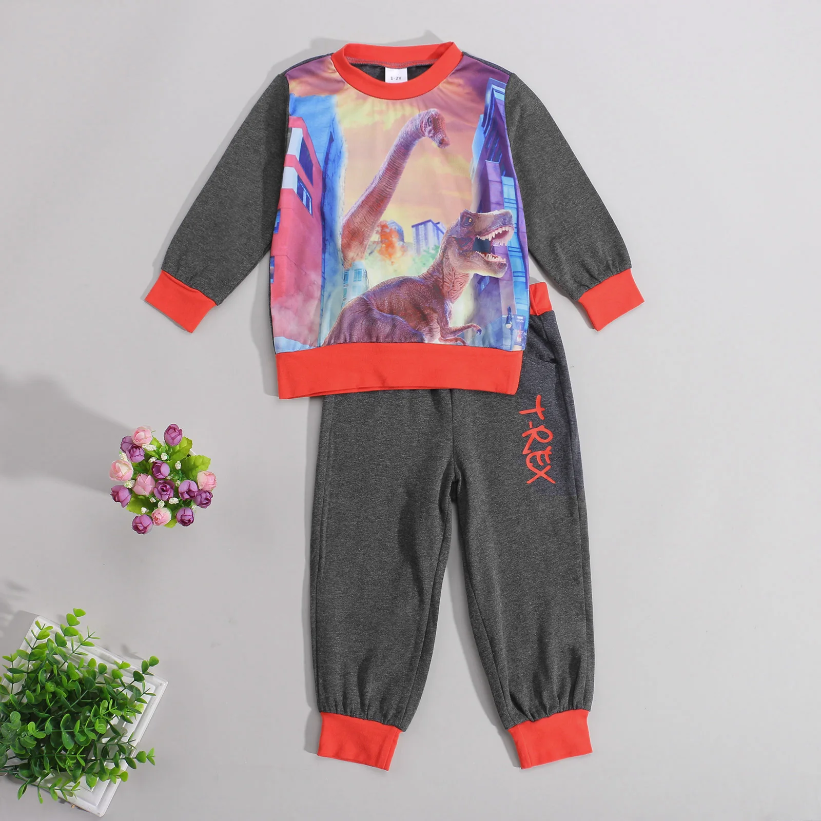 

Boys Casual Two-piece Clothes Set, Charcoal Round Collar Pullover and Dinosaur Printing Pants