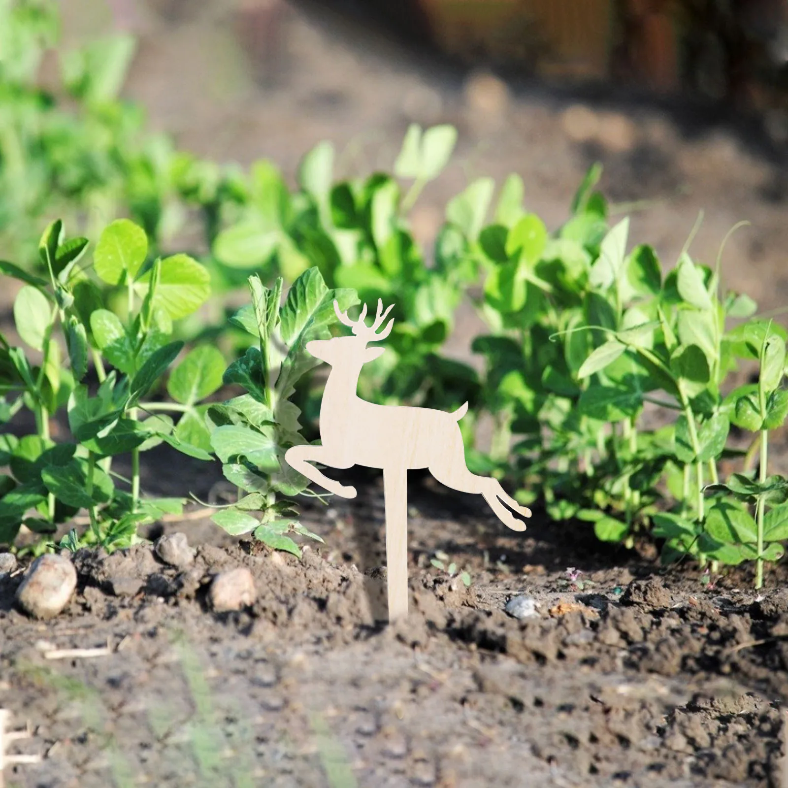 Деревянный Творческий садоводческий ярлыки для растений можете написать