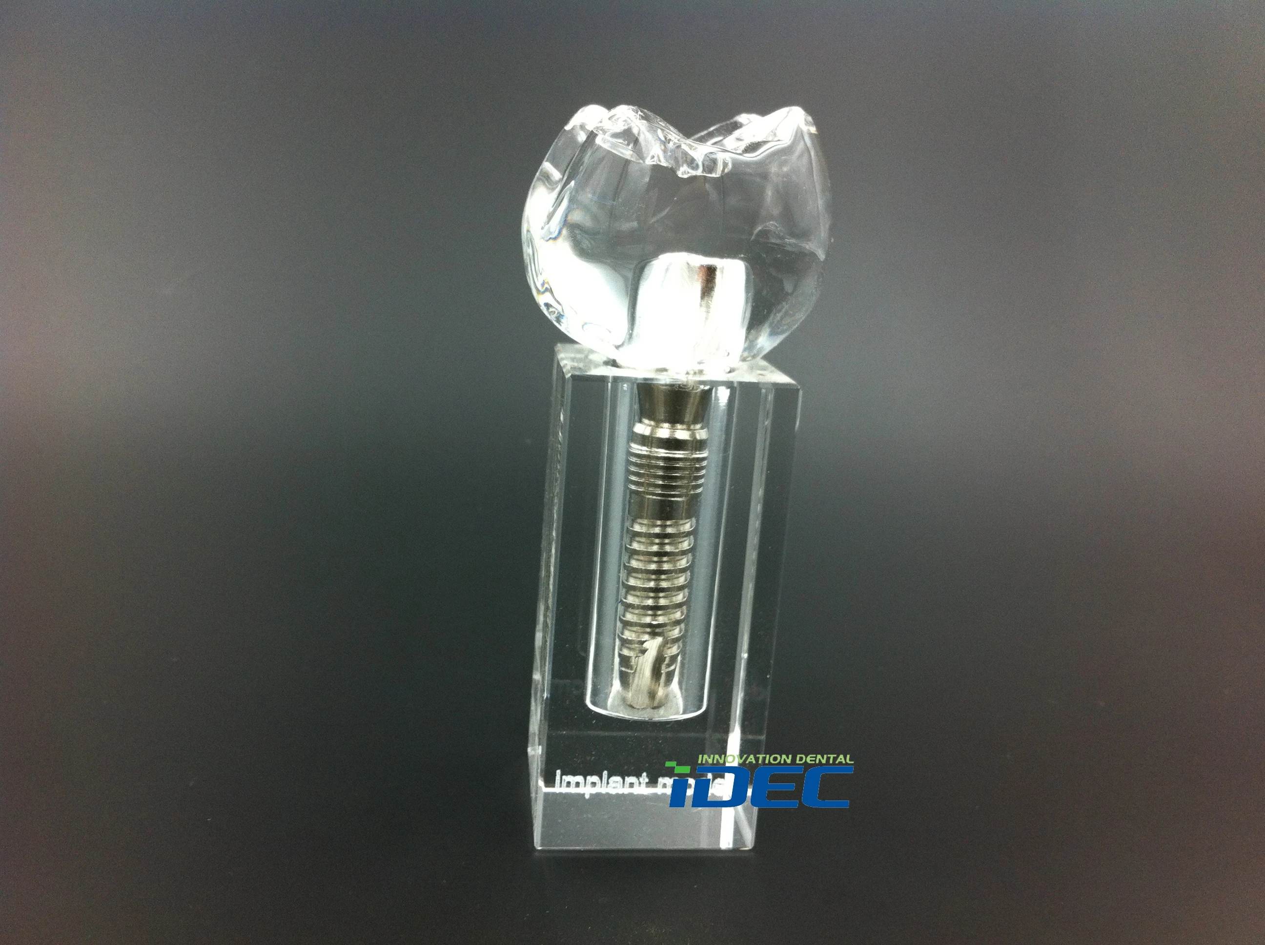 

Dental Clinic Decoration Dental Crystal Demonstration Teeth Implant Model M2019