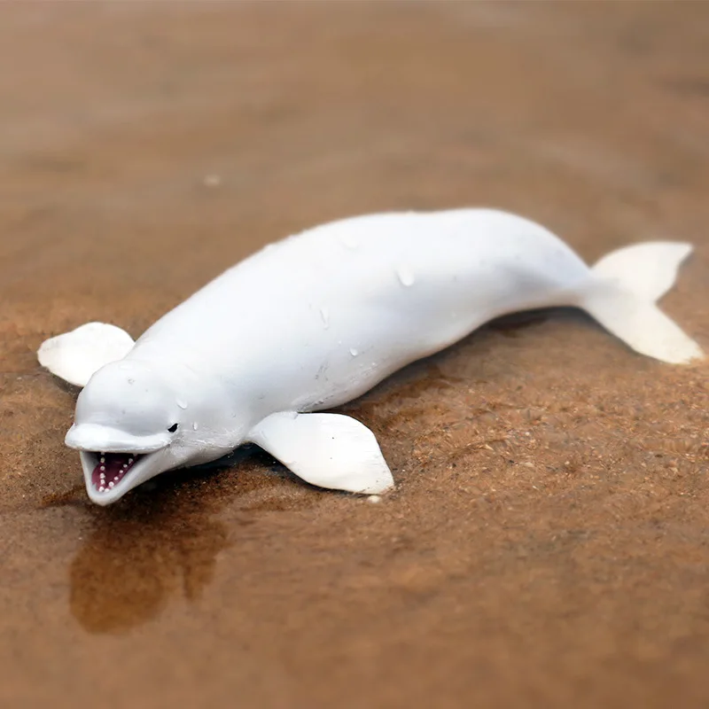 

27*11*5cm Simulation solid large white whale ocean static plastic whale model toy children's cognition early education prop toy