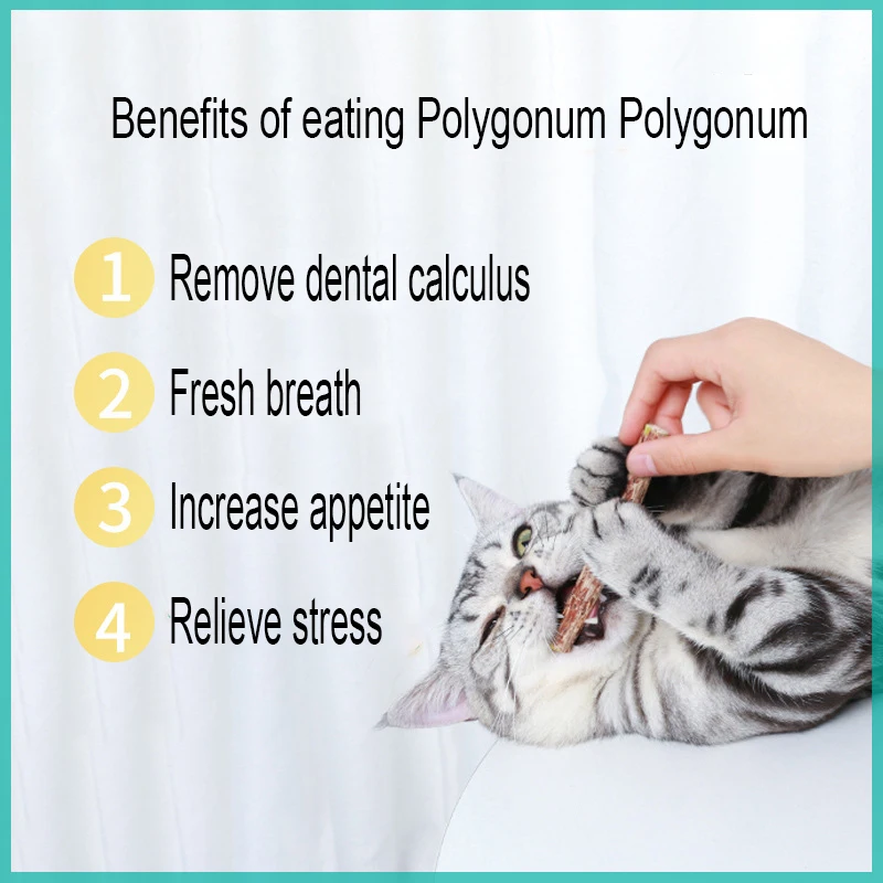 Pet Supplies Kitty Polygonum Capitatum Molars Cat Snacks Edible Toys Tooth Cleaning Stick Increase Appetite Five Pack |