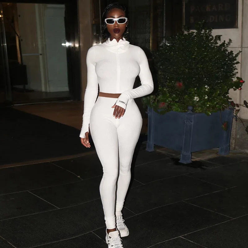 

High Collared Solid Color Zip Sport Two-piece Suit Women Long Sleeve Tops And Skinny Leggings Running Yoga Sport Suits