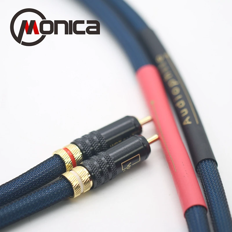HIFI Monica ST 48B G3 аудиоустройство кабель усилитель CD сигнальный WBT позолоченный RCA