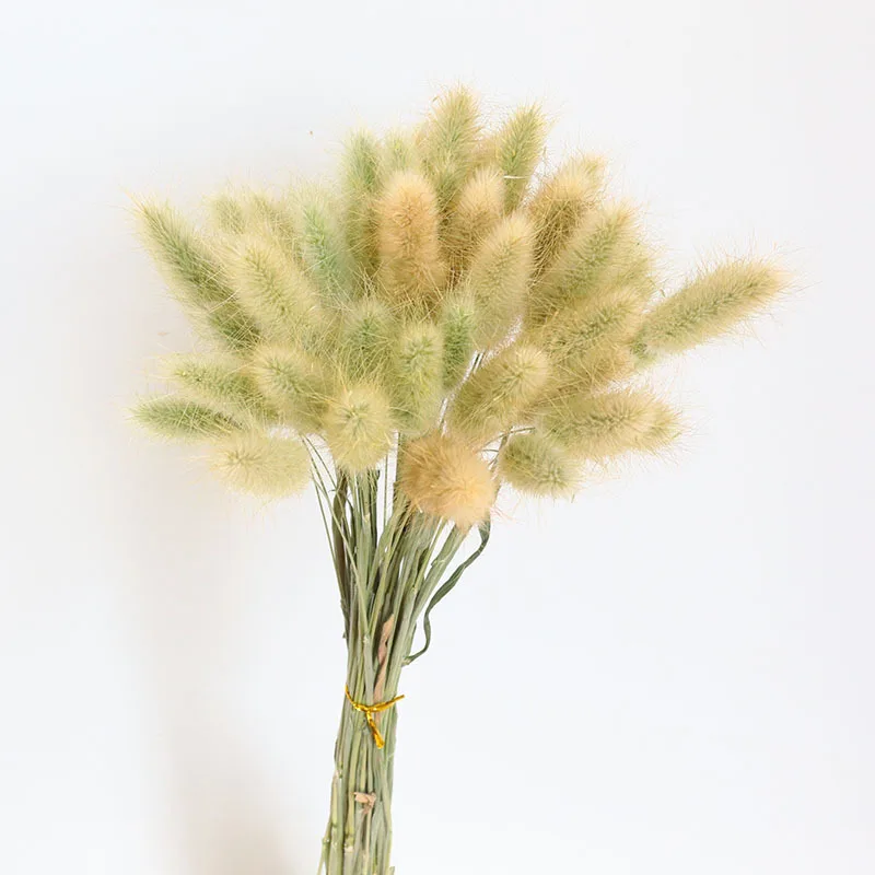 

Promotion Real Natural Dried Flowers Pampas Grain Bouquet Wheat Ears DIY Wedding Party Store Garden Christmas Gift Decoration