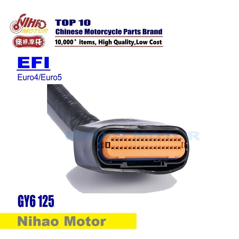 

EF23 Scooter EFI kits Engine Parts Wire harness GY6 125 EEC EURO4 Chinese Motorcycle Nihao Motor