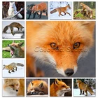 Алмазная живопись, животные, лиса, серебристая, черная, белая, 5D, сделай сам, квадратная Вышивка крестиком, 3D Круглый рисунок, 653