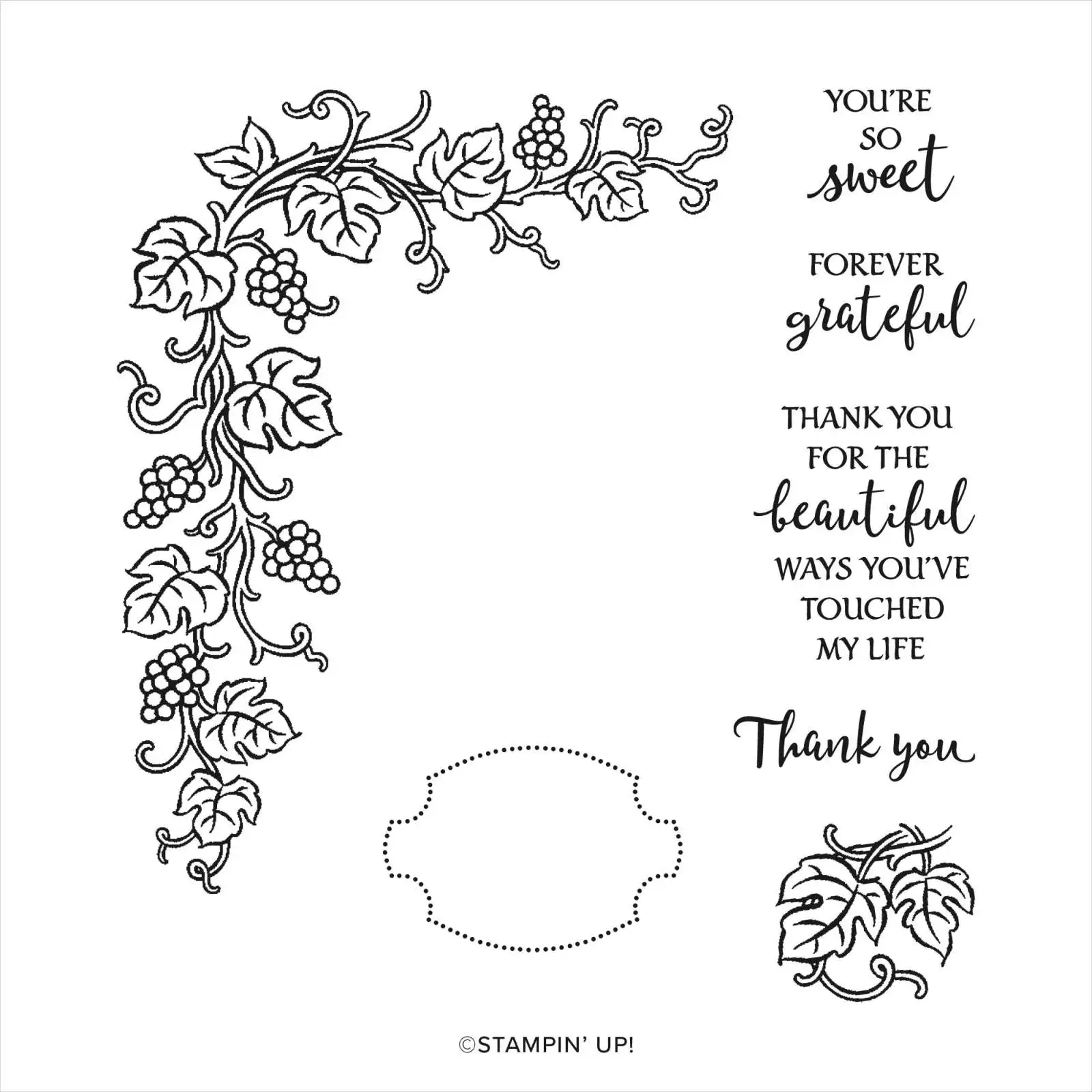 

Grapevine Forever Stamps And Dies New Arrival 2021 Scrapbook Dariy Decoration Stencil Embossing Template Diy Greeting Card Gift