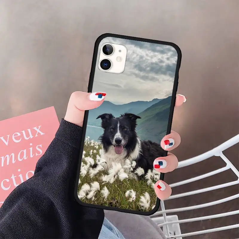 

Border Collie Dog Breed Phone Cases for iPhone 11 12 pro XS MAX 8 7 6 6S Plus X 5S SE 2020 XR