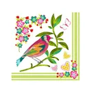 Салфетки из целлюлозы-устойчивый продукт плотностью 200 шт.прибл. 0,16 евро за единицу. * Бесплатная доставка *