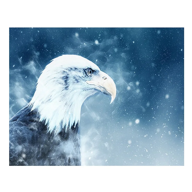 

CAMMITEVER Drill 5D DIY Diamond Painting "Animal Eagle" 3D Embroidery Cross Stitch Mosaic Rhinestone Home Decor Gift