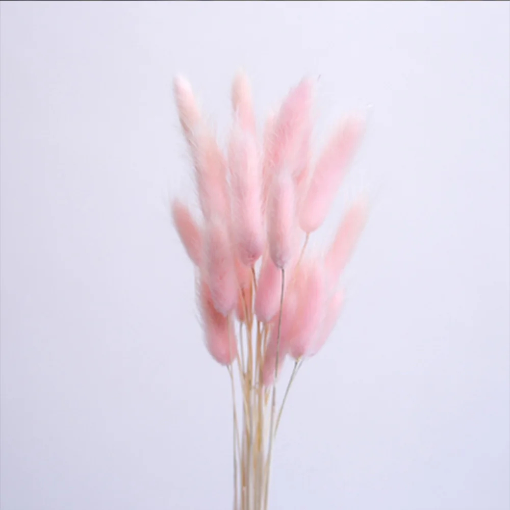 100 шт. Свадебный декор Натуральные сушеные цветы букет кроличий хвост трава для