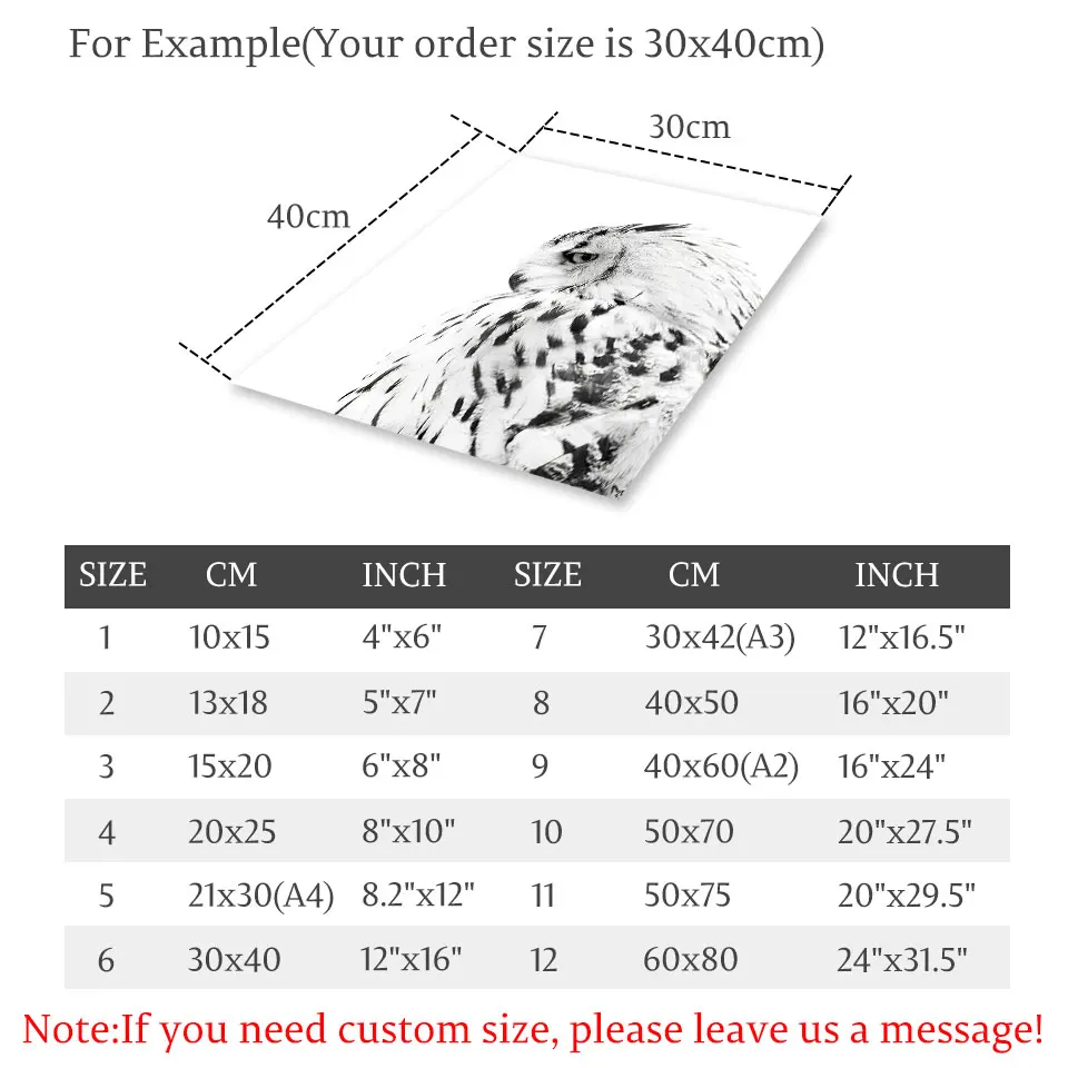Скандинавский плакат Сова солнечное дерево холст живопись черный белый пейзаж