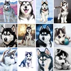 5D DIY Полная квадратная алмазная живопись 