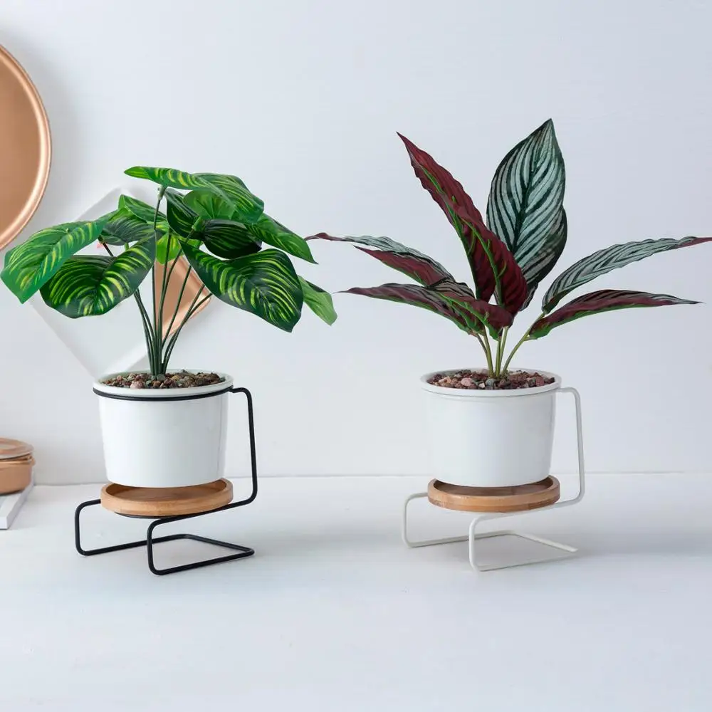 Керамические цветочные горшки оригинального дизайна с железной металлической