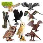 Популярная модель диких животных зоопарк АБС птицы Орел попугай модель дятла фигурки коллекционные познавательные обучающие игрушки для детей