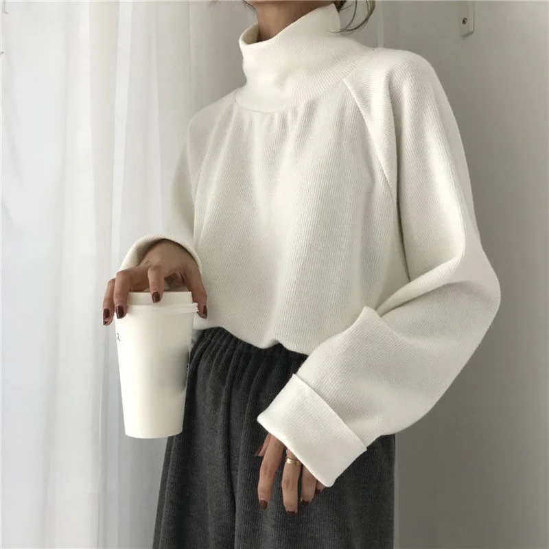 

Turtleneck Sweater Autumn Winter Knitted Jumper Women's Sweaters Casual Loose Long Sleeve Jacket Pullovers Female