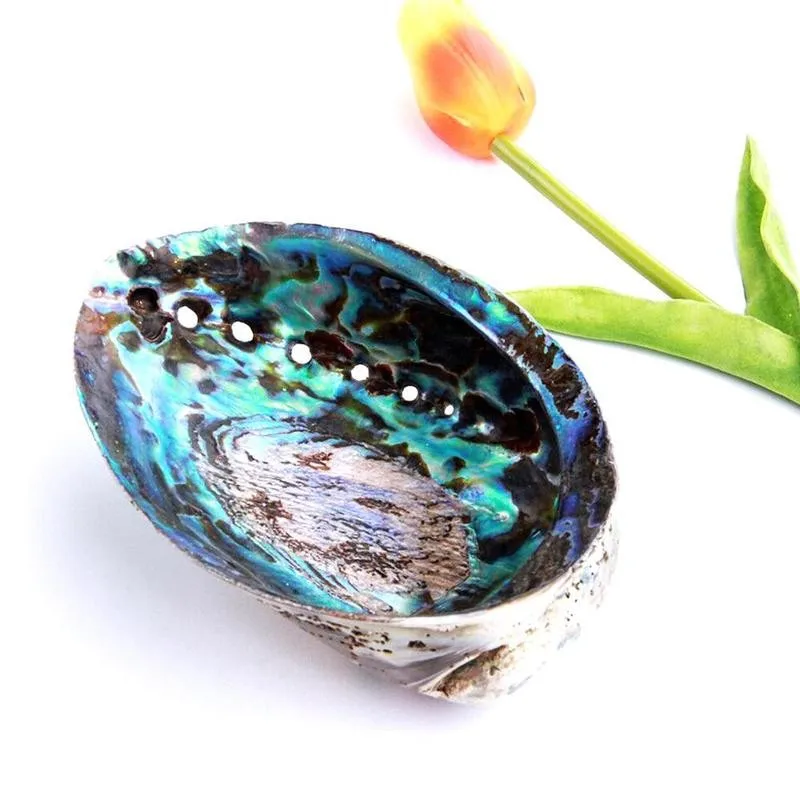 1pc 9-12cm Natural Bright Shiny Abalone Shell Nautical Blue Decor Seashells Fish Tank Aquarium Decoration Shells | Дом и сад