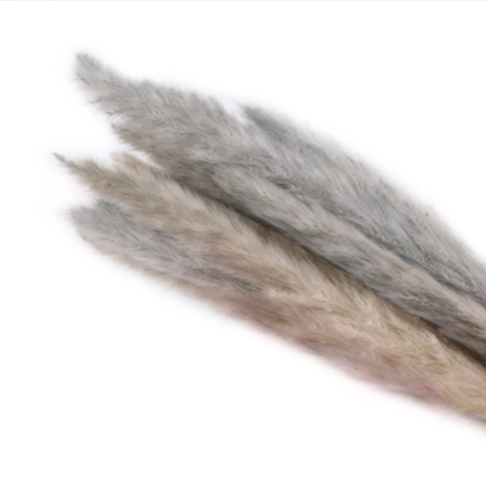 Коричневый 15 шт./упаковка сушеные небольшие пампасы трава Phragmites украшения для дома, отеля, свадьбы FPing - Цвет: Коричневый