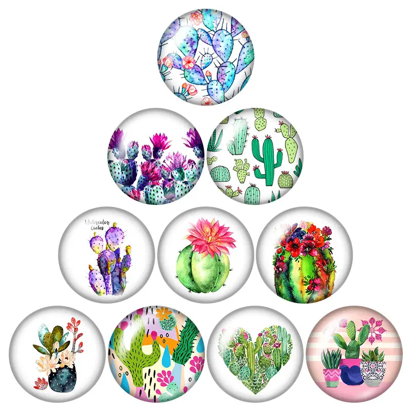 Счастливый клевер горшечные растения кактус 18 мм кнопки 10 шт. круглые фото