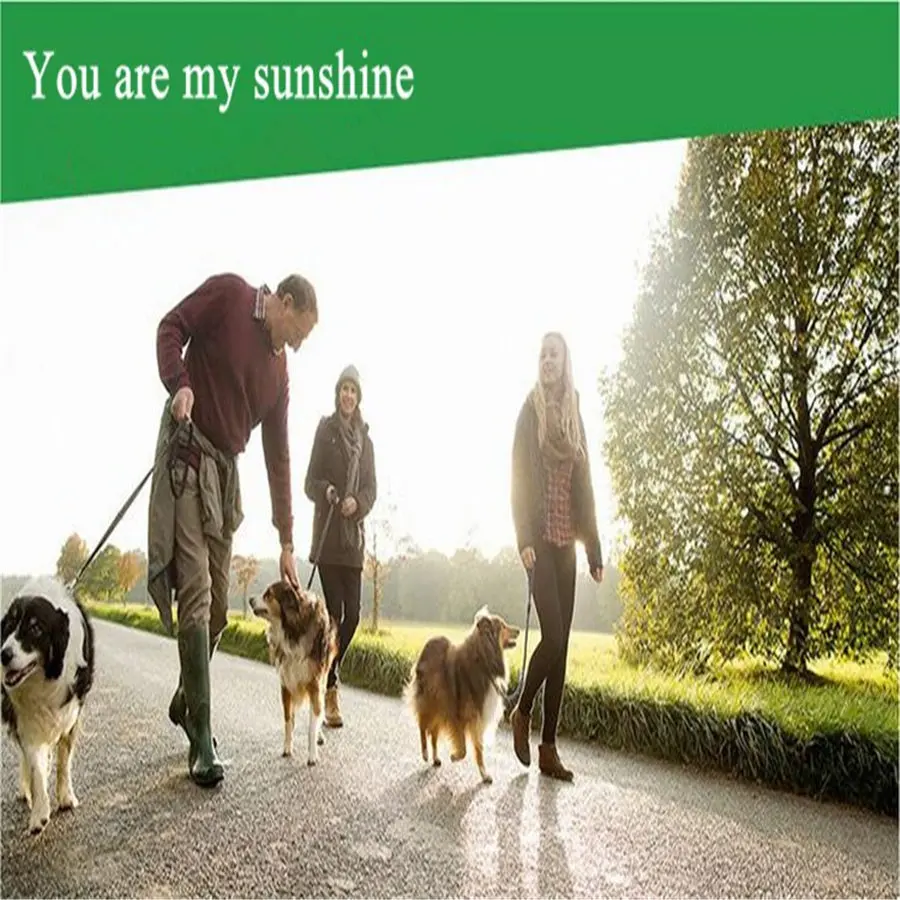 1 шт. Регулируемый автомобильный собачий ремень безопасности нейлон домашнее