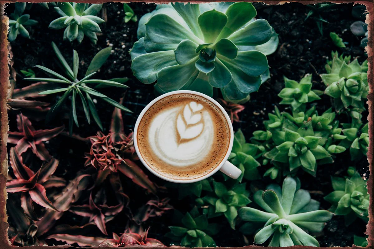 

Жестяные тарелки для кофе, декор для стен, украшение для комнаты, Ретро винтажный металлический знак, жестяной знак для клуба, мужской пещер...