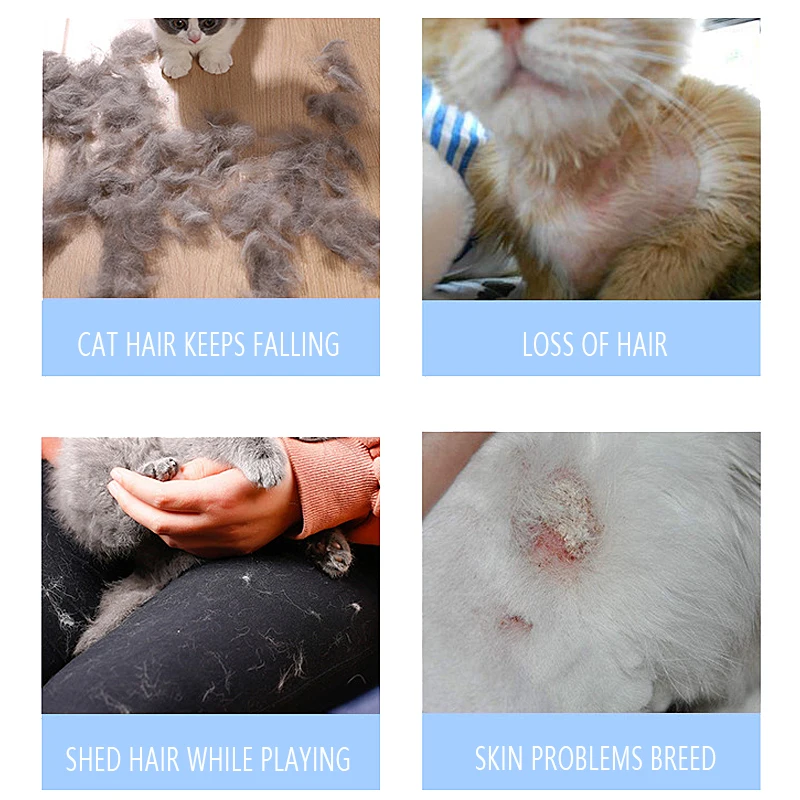 

Combs Dog Hair Remover Cat Brush Grooming Tools Pet Detachable Clipper Attachment Pet Trimmer Combs Supply for Cat Dog