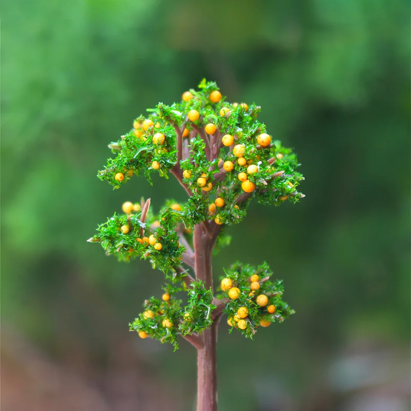 BEAUFORT миниатюрное многоцветное дерево сосна красный клен Вишневое гриб микро