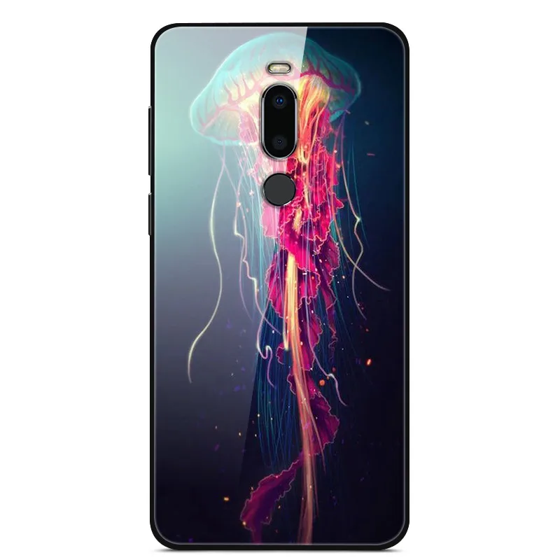 17 Чехол для Meizu M8, закаленное стекло, жесткая задняя крышка для Meizu M8 M 8, мягкий чехол для телефона, бампер для MeizuM8, защитный чехол 5,7 дюйма - Цвет: 17