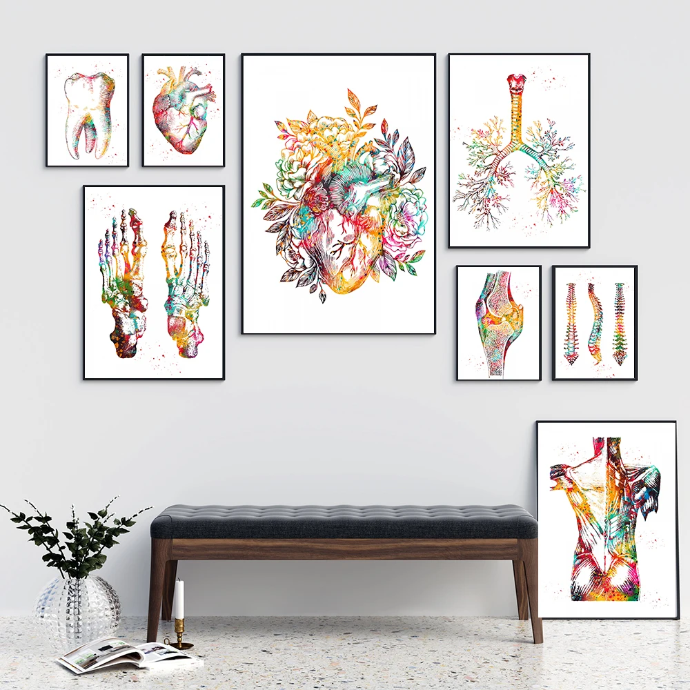 

Heart Tooth Skeleton Cells Posters Print Colour Art Canvas Painting Foot Bones Anatomy Wall Pictures Clinic Medical Office Decor