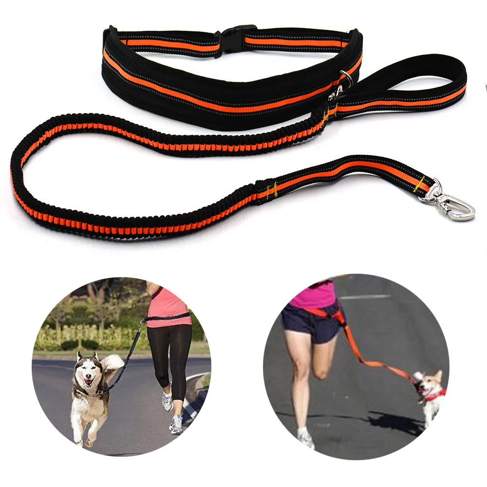 Pet Dog Cat Running Jogging Padded Waist Belt Reflective Strip Elastic Leash Perfect Walking Training Set Hands Free 5 | Дом и сад