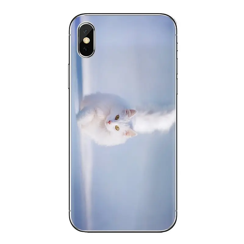 Зимний котенок для iPhone XS Max XR X 4 4s 5 5S 5C SE 6 6S 7 8 Plus samsung Galaxy J1 J3 J5 J7 A3 A5 прозрачные чехлы