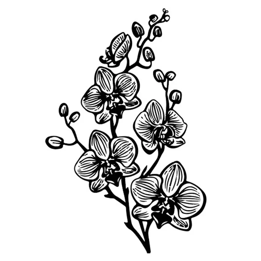 JC очистить резиновый штамп Phalaenopsis альбом для скрапбукинга цветочный лист