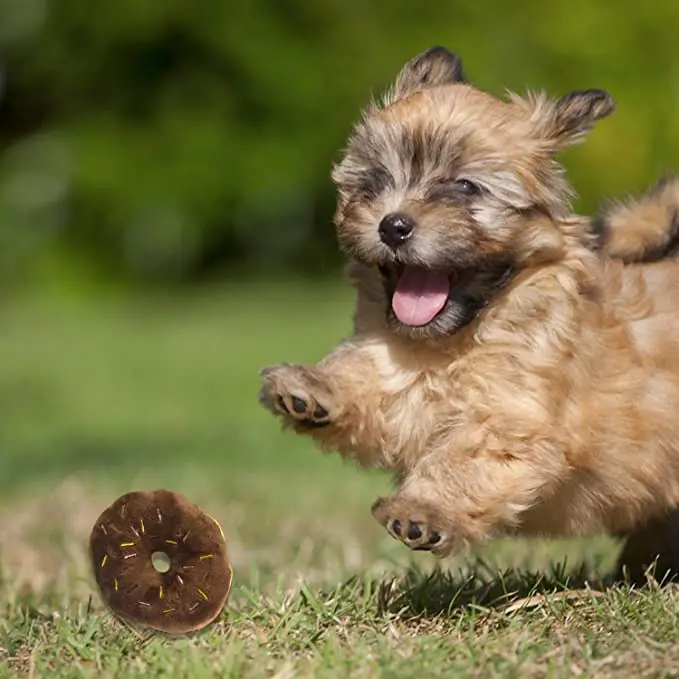 Милые плюшевые игрушки для собак скрипучий домашних животных Собака Щенок Кот