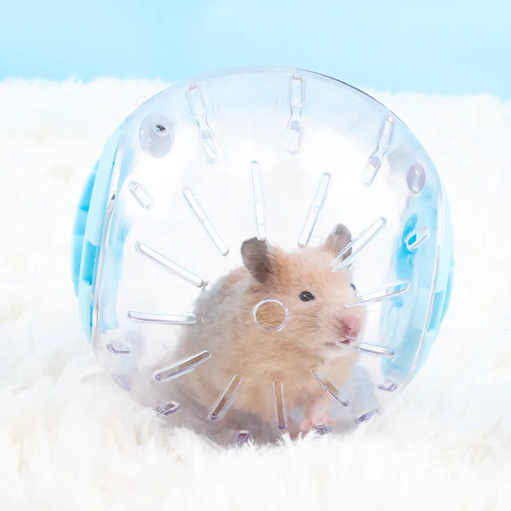 

Plastic Outdoor Sport Ball Grounder Rat Small Pet Rodent Mice Jogging Ball Toy Hamster Gerbil Rat Exercise Balls Play Toys