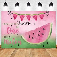watermelon newborn baby shower 1st birthday party backdrop vinyl photography background for photo studio photophone photocall
