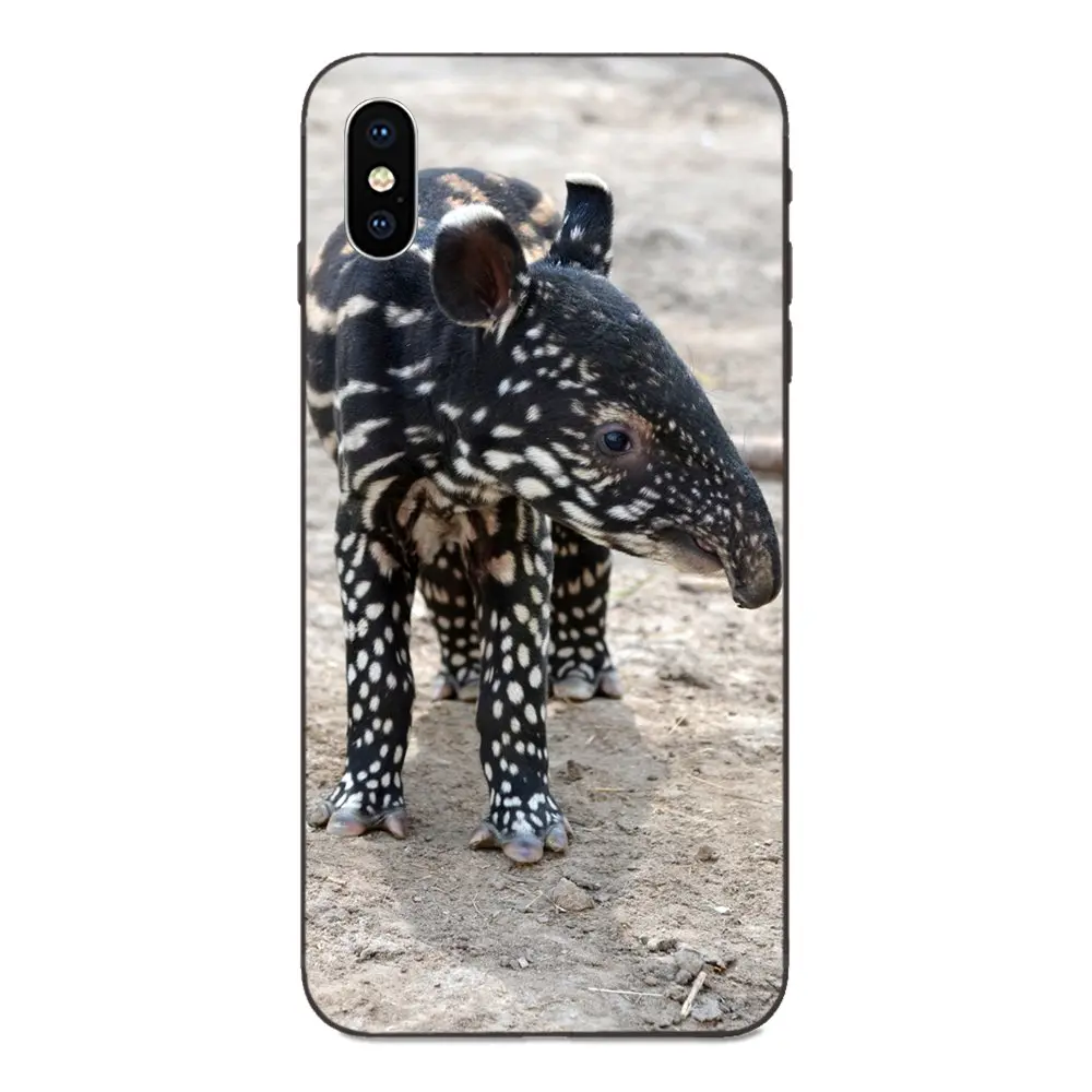 Новейшее дополнение Malayan Tapir Belfast Zoo для Xiaomi mi x Max Note 2 2S 3 5X6 6X8 9 SE A1 A2 Lite Play Pro F1 |