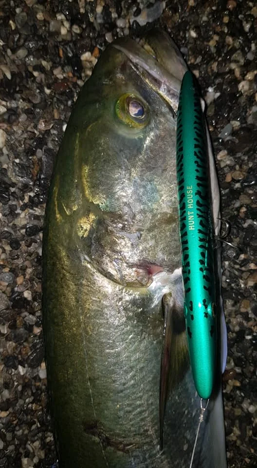 Hunthouse stickbaits приманка для рыбалки Карандаш жесткие рыболовные приманки Топ воды