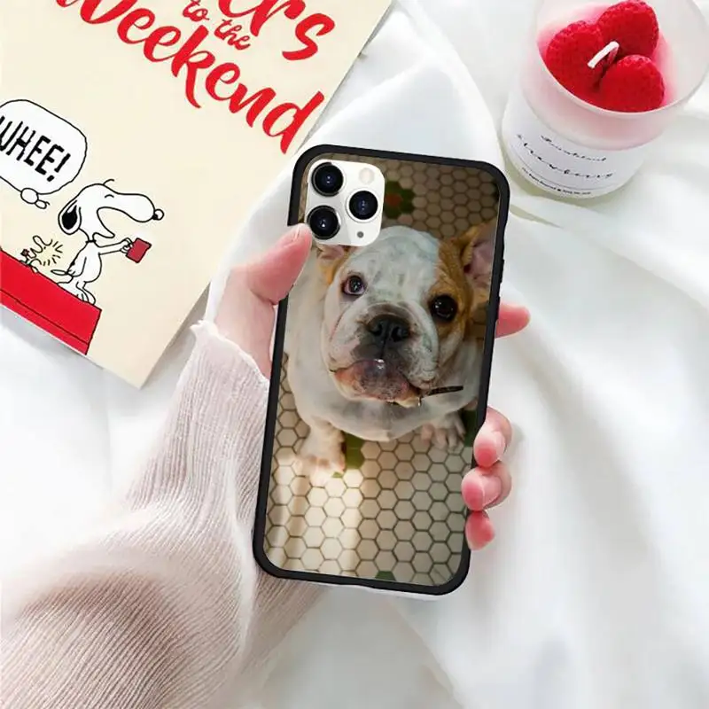 

Pit Bull Lovely Pet Dog Phone Case For iphone 5S 6S 7 8 11 12 XR XS SE Plus Pro ProMax Cover Fundas Coque